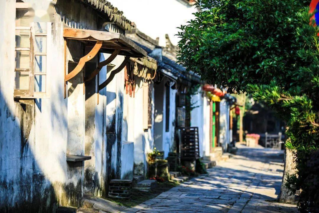吉鹿力问答社区 - 解答疑惑,与柠檬用英语怎么说共成长